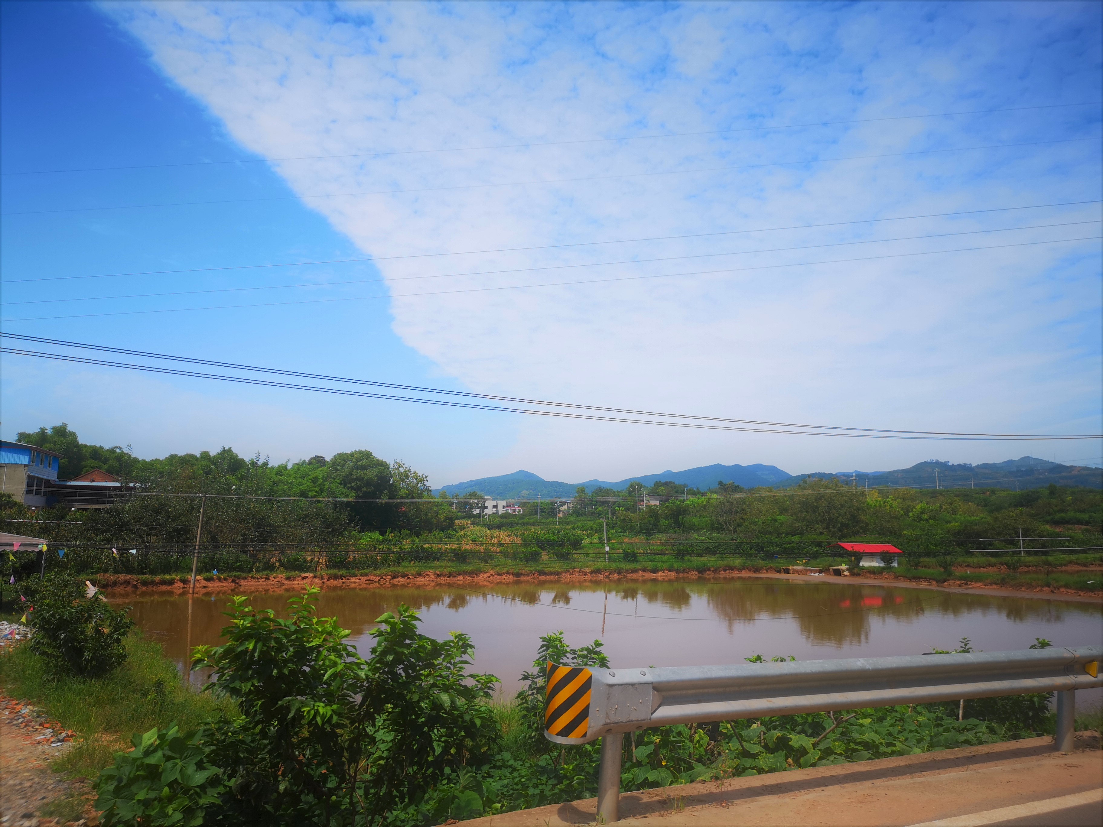 1566282167730038536.jpg 9.jpg