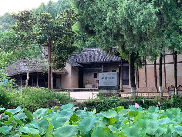 1564827656464053322.jpg 2.jpg